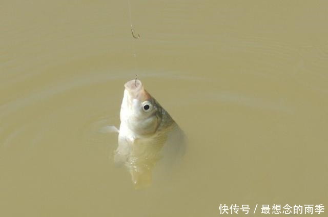 发生|只要去钓鱼,这些诡异的糗事,就必然会发生