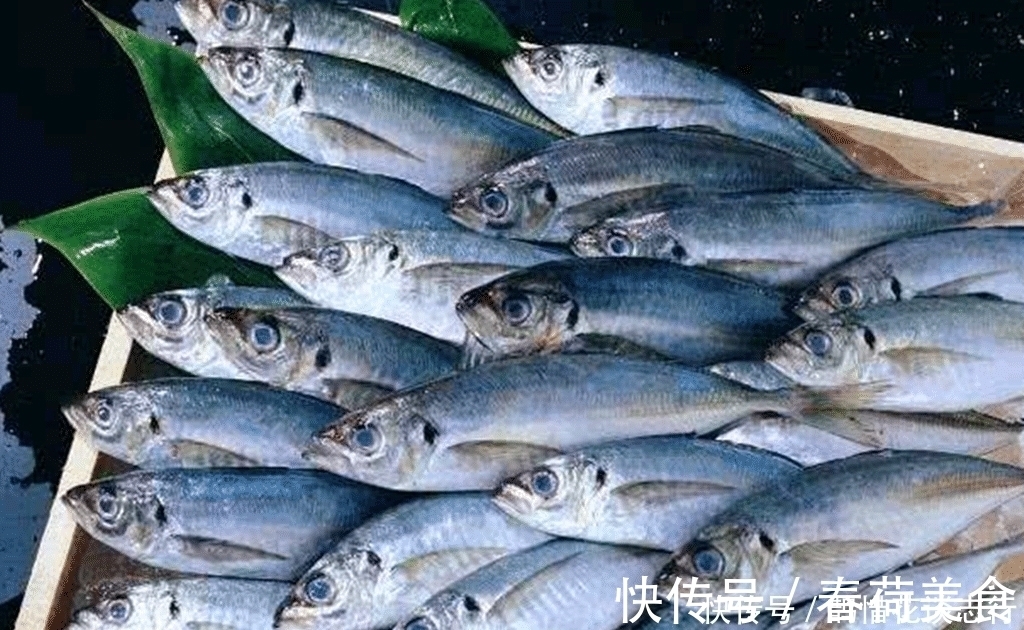 生活环境|海鲜摊位上这几种鱼是没有养殖的, 海鲜老板不一定告诉你!