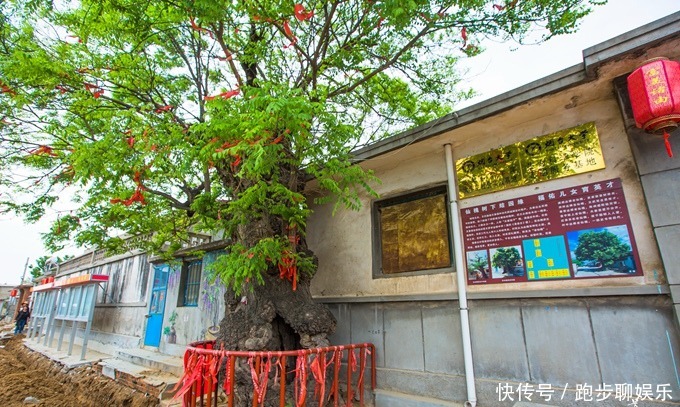 特色|山东龙口有一座传统古村落，村中房屋有上百年历史，充满地方特色