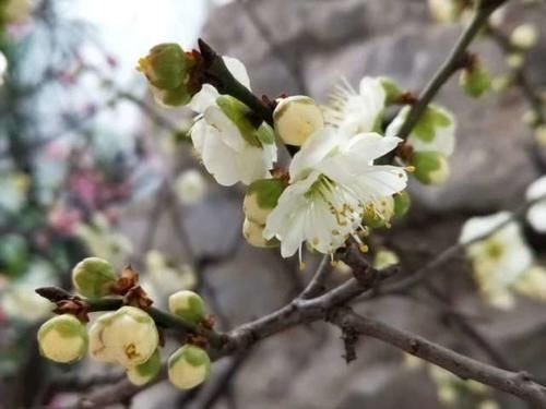 后人对于诸葛亮多有评价,但都不及杜甫这首诗,短短几句一针见血