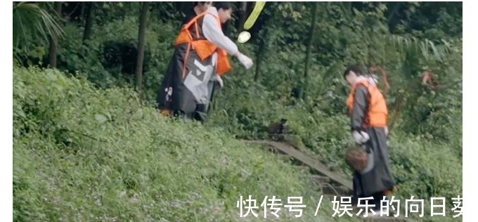 综艺|杨紫，可能是《向往的生活》最稀缺的一个角色！