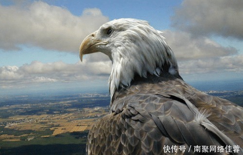 钓鱼穷三|俗语:“三虎出一豹,三斑出一鹞”啥意思?三句经典道尽处世智慧