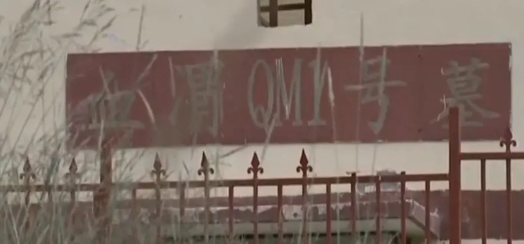 热水墓群|“九层妖塔”原型古墓惊现:1000余件文物,500余件金银玉器,87匹汗血宝马