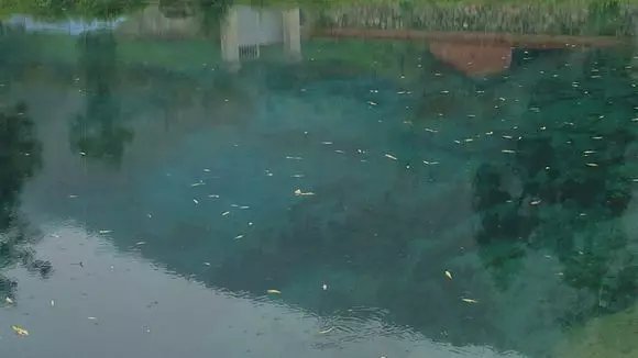 南郑玉泉,遗失在人间的仙境