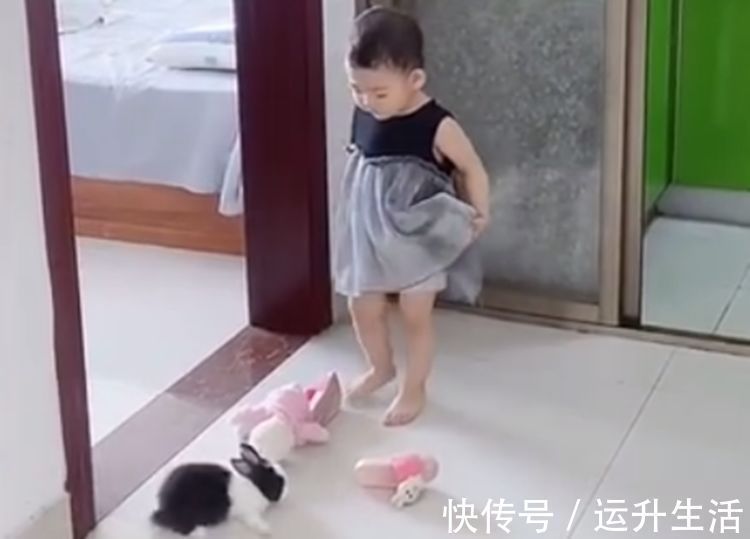 小宝|妹妹总打扰哥哥写作业,谁曾想连人带兔一起被撵出,网友:太难了