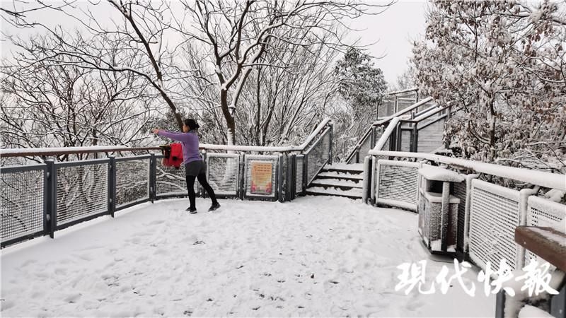 雪落|雪落紫金山，许你一个冰雪世界