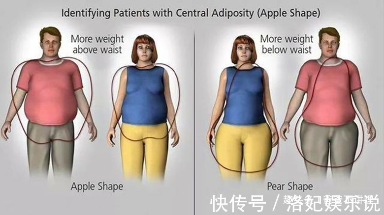 宝宝|备孕多久能怀上宝宝已经3个月了,肚子还没有动静怎么办