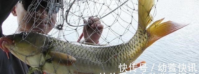 浅谈双钩的饵料搭配,科学搭配可提高钓鱼效率