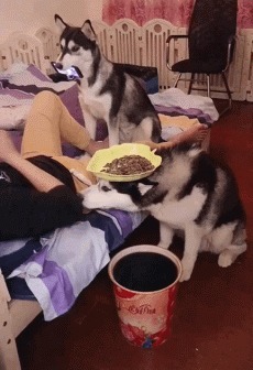 审美 “女孩的审美真让人难以理解,这件裤子的美感在哪?”