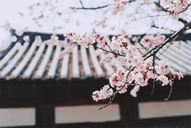 成就|王阳明训子家书,大智慧成就大人生