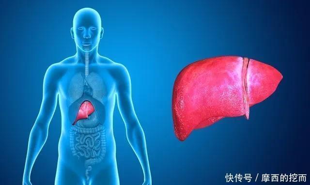  感染|正确使用筷子，关乎一家人的健康从选对、洗对、放对筷子开始