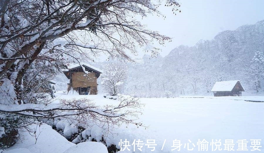 大雪#元代诗人一首咏雪七律,风竹云松银凤玉龙,浪漫主义情调让人心动