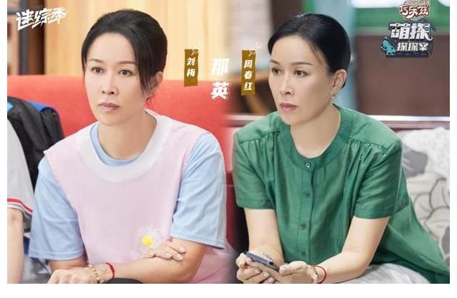 朱朝陽|《萌探探探案》圓滿收官 那英被評為最真情實感探員