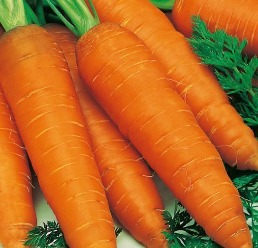 长寿|人到中年想长寿，要坚持吃几种食物，增强体质，营养丰富