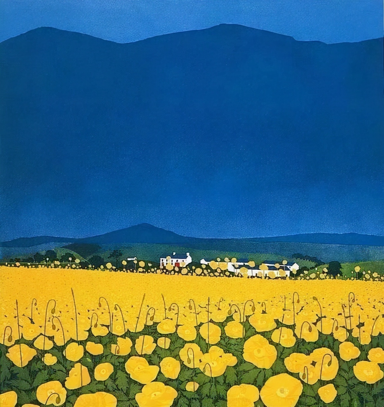 插画师&英国插画师Phil Greenwood的插画,给家里带来一丝文艺田园气息