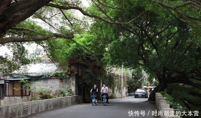 浙江|浙江最不可忽视的美食之城