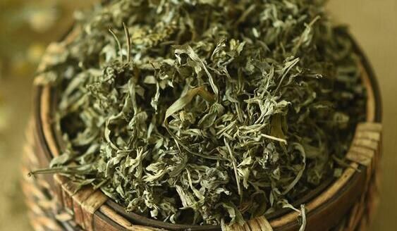 止痒|惊呆了！夏天用艾草煮水，竟有这些神奇功效