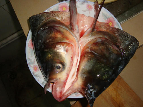 今天才知道,鱼身上3个地方毒素最多,不要随便吃,长记性了