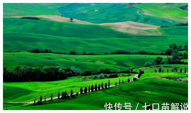 以家人之名|人生最大的教养,无非就这两个字!