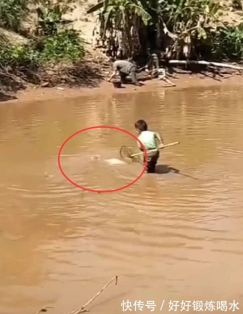 鱼塘|儿子在鱼塘捞鱼，眼看就要捞到了，随后发生的事情爸爸笑喷了
