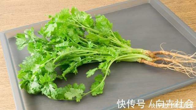 保存香菜有诀窍，菜贩子教我一招，越放越鲜，吃到来年春天没问题