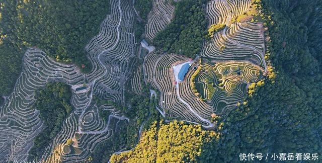 福建生态小镇，山连着山，水连着水，藏着一片世外桃源的茶山