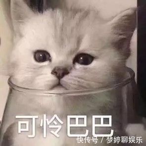 麦片虾|这菜一上桌就抢光！看似不搭，煮一块竟如此惊艳！