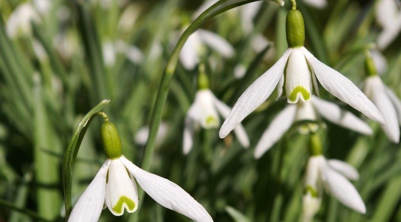 开心果|农历生日尾数是几的孩子,懂事聪慧,一辈子福运缠身