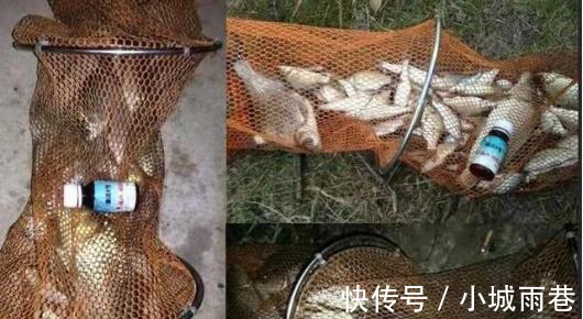 热天钓鱼开饵时用上这5招，不是跟你吹，大鱼看见就狂咬，半天就爆护！