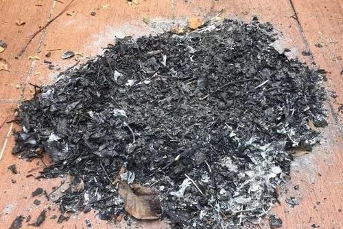 花都|学会制作这些“氮、磷、钾肥”,养啥花都长得又快又好