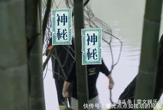 节目 下期《向往》要火,杨紫还没走,他俩又来了,还是《跑男》老成员