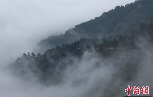 重庆黑山谷雨雾缭绕宛如仙境