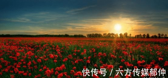 旧爱|8月末,痴心绝对,我心无悔,执着等待,坚定不移,旧爱终会回头