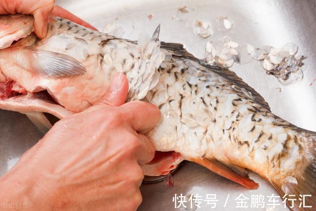 去腥|不管炖什么鱼,去腥别只会放料酒,多放这2样,鱼肉鲜香没腥味