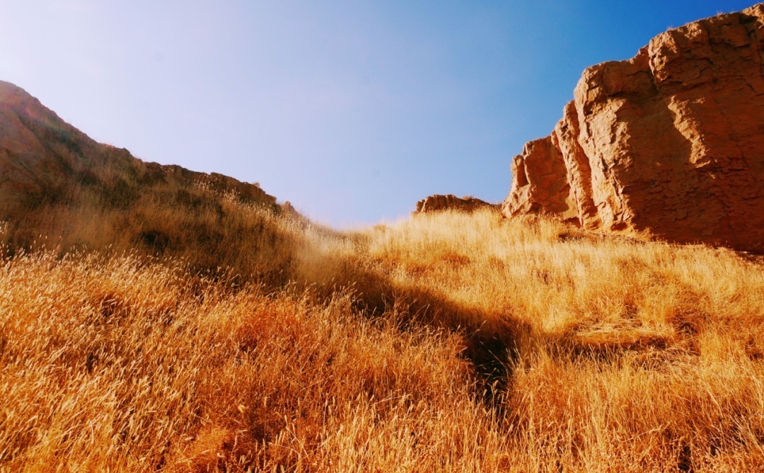脚踏|一路银川,水洞沟遗址脚踏黄土来,机关四起藏兵洞