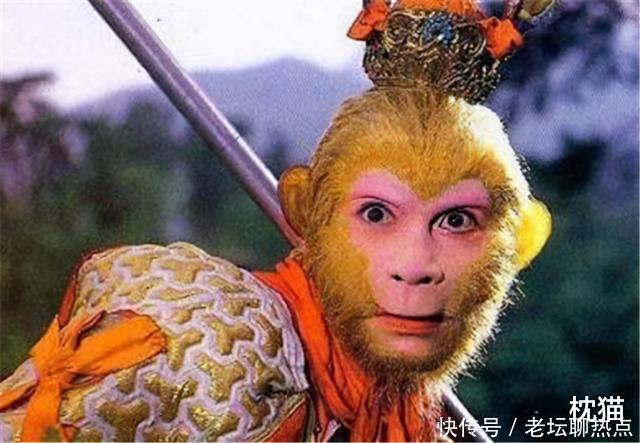 年少只知悟空“勇”,中年方懂沙僧“怂”