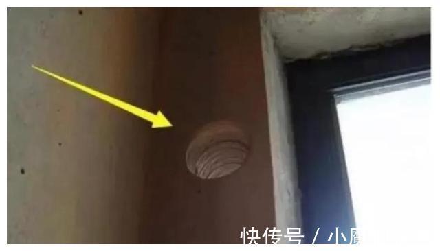 鞋柜|房子入住3年,4个装修失误我真忍不住要吐槽了,花钱装修买教训!