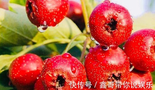 美白|爱吃山楂的人，身体不会差，美白祛斑，补血活血，大肚子也没了