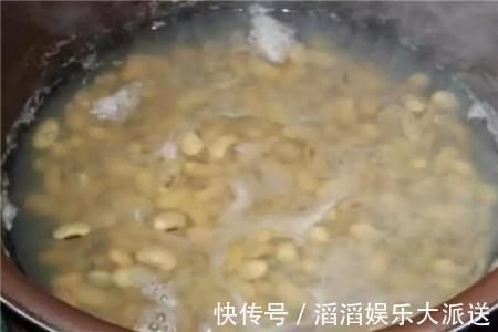 黄豆|养虎皮兰时,盆里加2种东西,30天钻出钢芽,侧芽嗖嗖