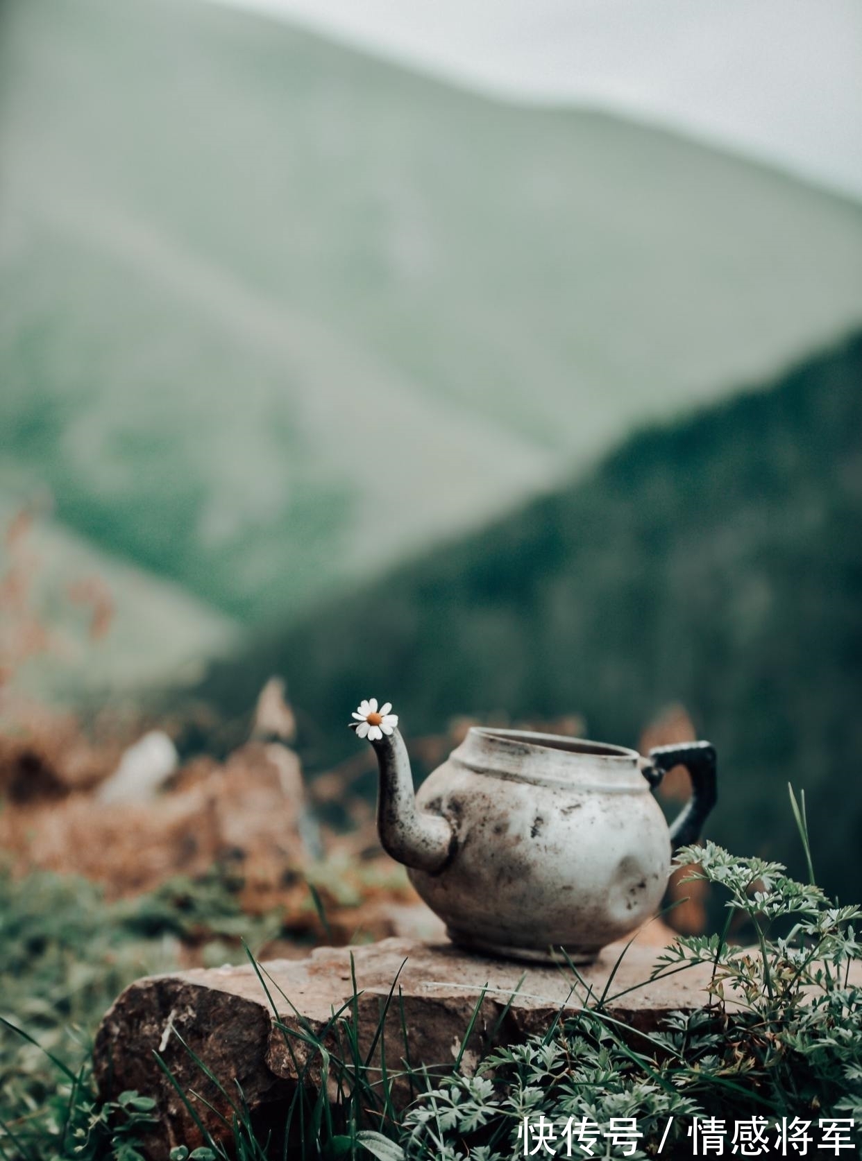 空青@王维很美的一首田园诗,短短4句却写得扣人心弦,值得学习