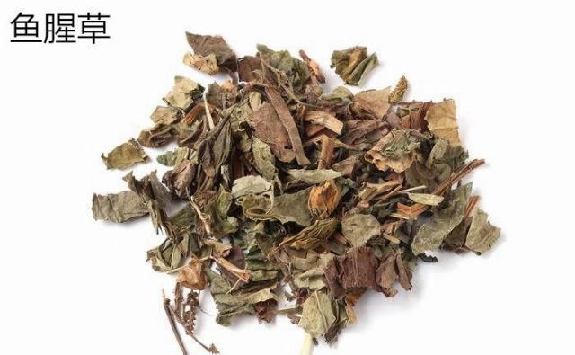 中药|三味中药,洗掉痔疮一张30年前老方子,值得科普研究