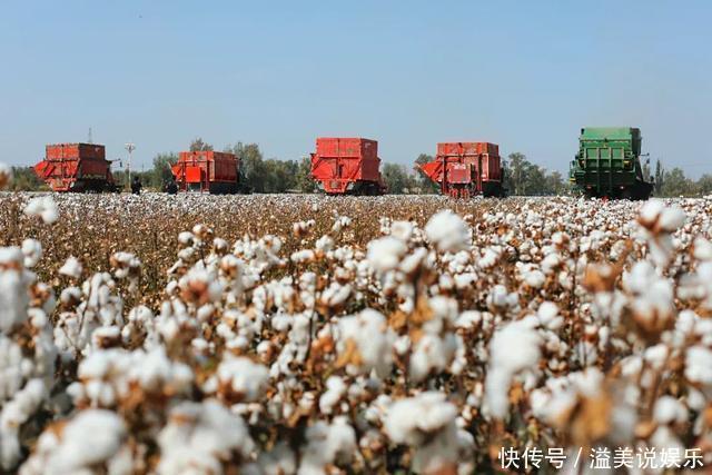 中年|苏州女子探秘南疆巴州:这是一处色彩的世界,超出你的想象