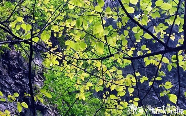 秋日|散文诗秋日小语