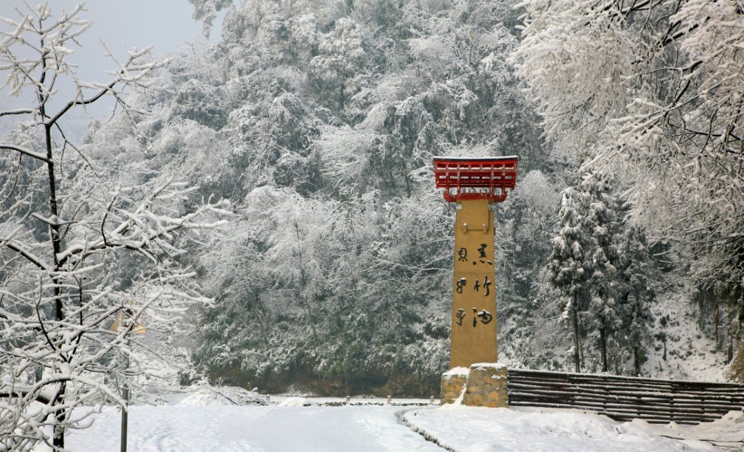 黑竹|黑竹沟也下雪啦！白茫茫一片，美炸！！