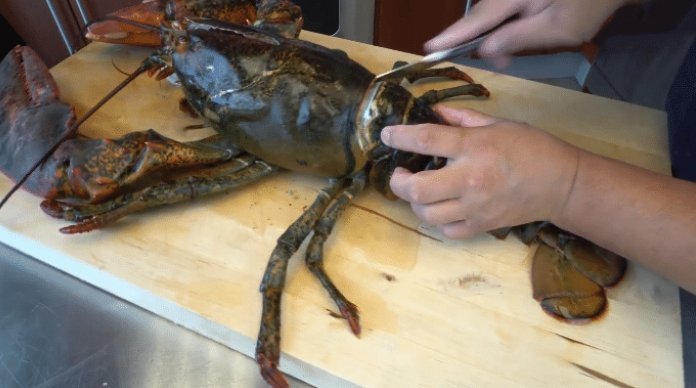 海鲜|男子网上买一只“大龙虾”,15斤花了398元,掰开后我要退货