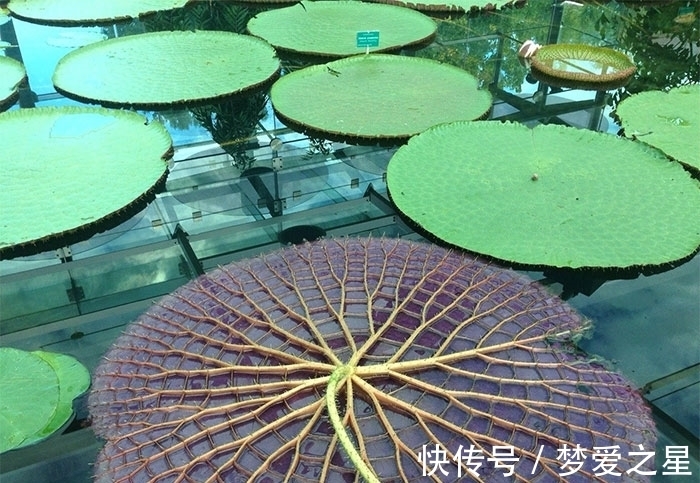 飞机库|25张罕见的照片，现代战舰的底部太科幻，好像动画片里的飞船