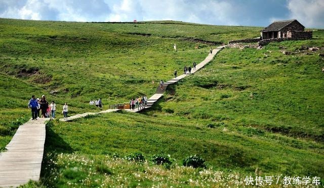 来洛阳旅游，这几样特色美食一定不能错过！