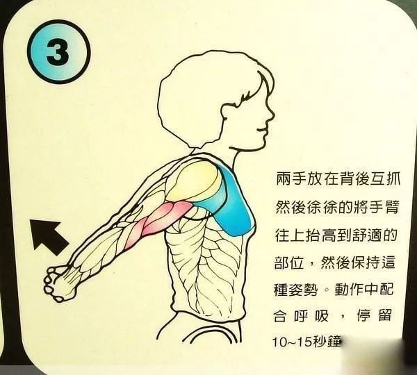 普拉提|养生法:神奇的健骨拉筋术,“筋长一寸,寿长十年”!