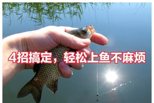 鲫鱼不开口怎么办,4招搞定,轻松上鱼不麻烦,一天大半桶没商量