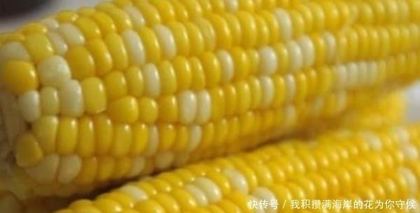 宝宝|怀孕时,这4种食物孕妇要多吃,促进宝宝的智力发育,还能安胎